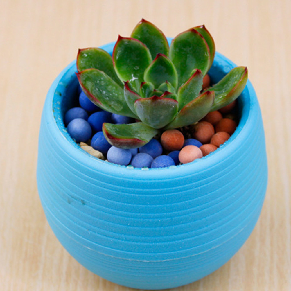 Plant Pot Small Desk - Mini Resin Succulent Pots Round Solid