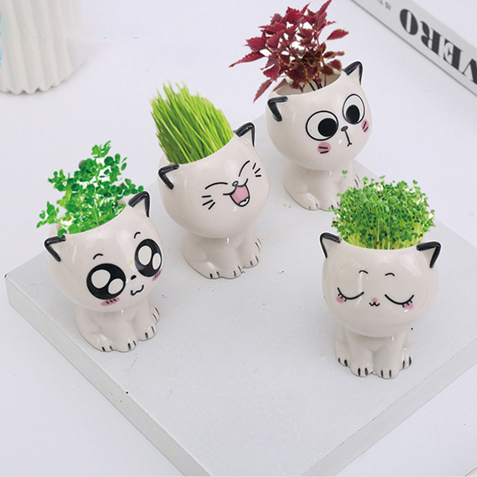Plant Pot Small Desk - Cat Shaped Ceramic Flowerpot Cactus Flower