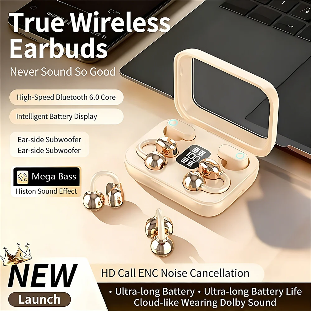 Desk Hifi Setup - Twin Earphone Open In-ear Type HIFI
