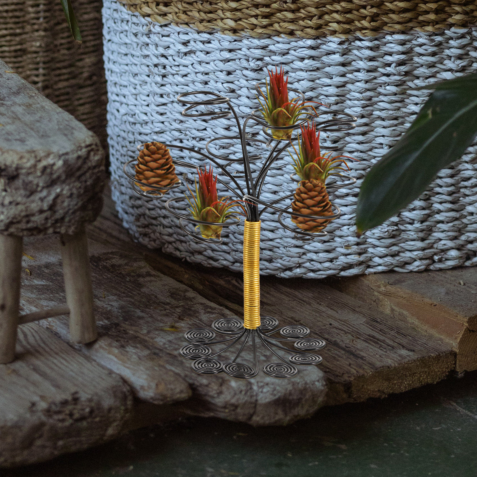 Multi Pots Air Plant Holder No - مراجعة Plant Pot Small Desk وسعره