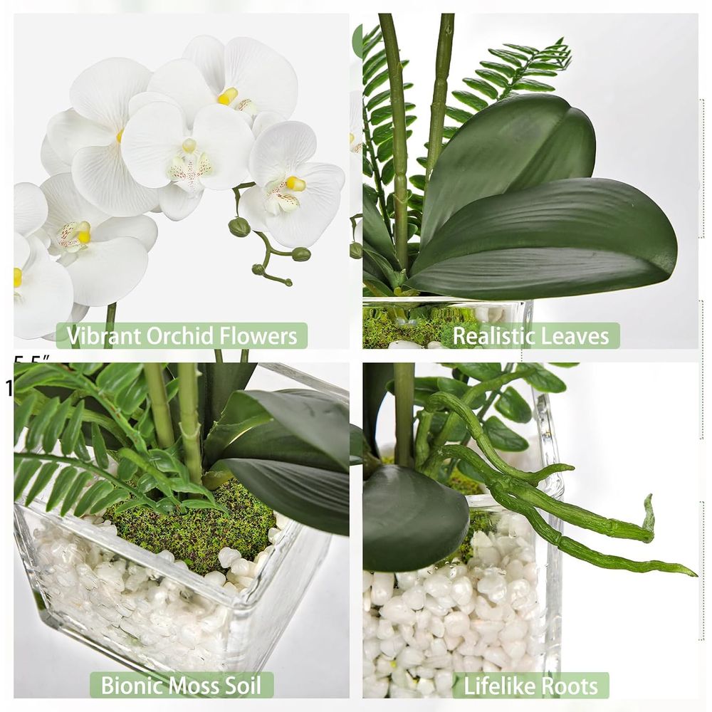 Artificial Orchid Plant in Pot - مراجعة Plant Pot Small Desk وسعره