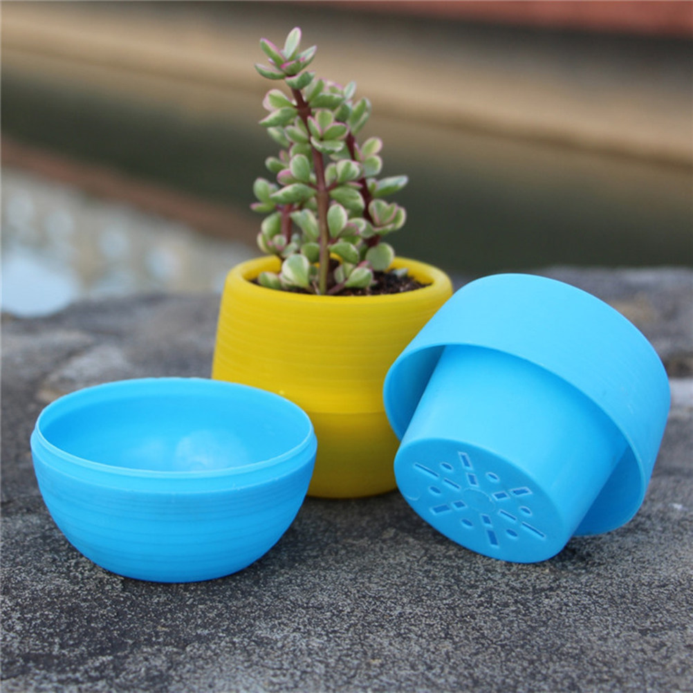 Mini Resin Succulent Pots Roun - مراجعة Plant Pot Small Desk وسعره