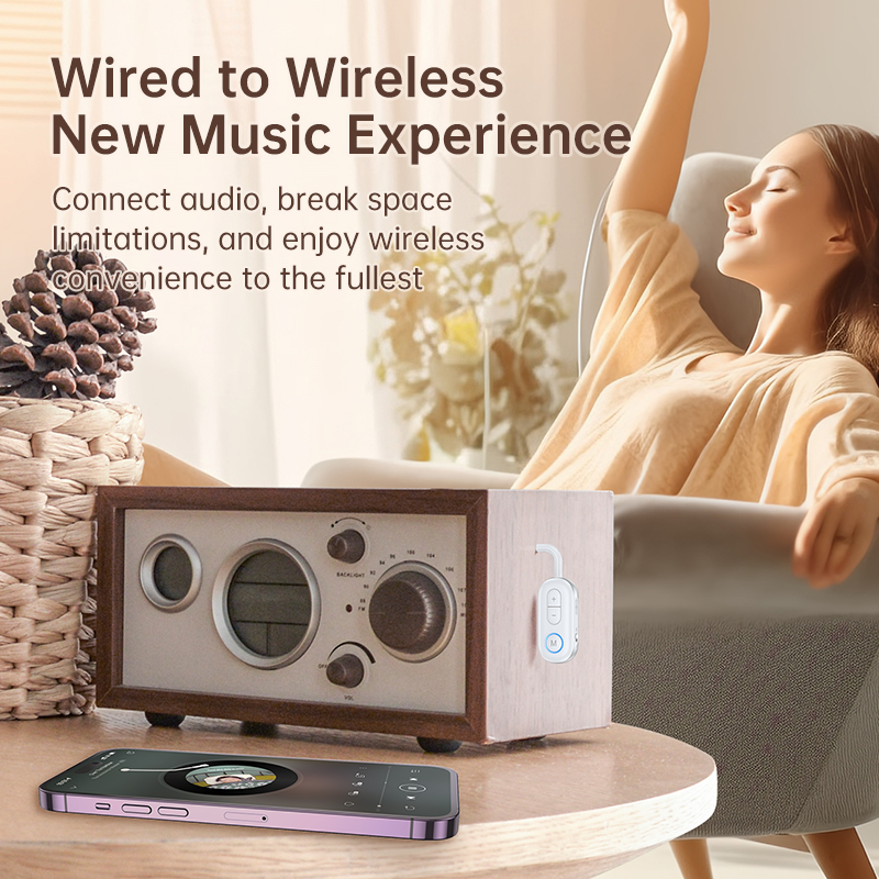 Bluetooth 5.3 Audio Transmitte - مراجعة Desk Hifi Setup وسعره