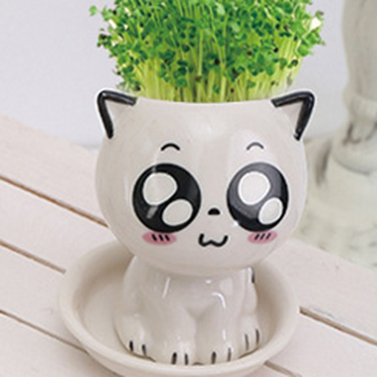 Cat Shaped Ceramic Flowerpot C - مراجعة Plant Pot Small Desk وسعره