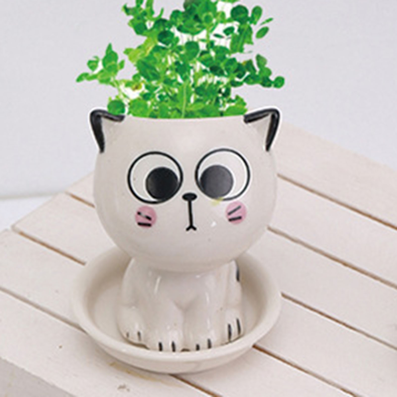 Cat Shaped Ceramic Flowerpot C - مراجعة Plant Pot Small Desk وسعره