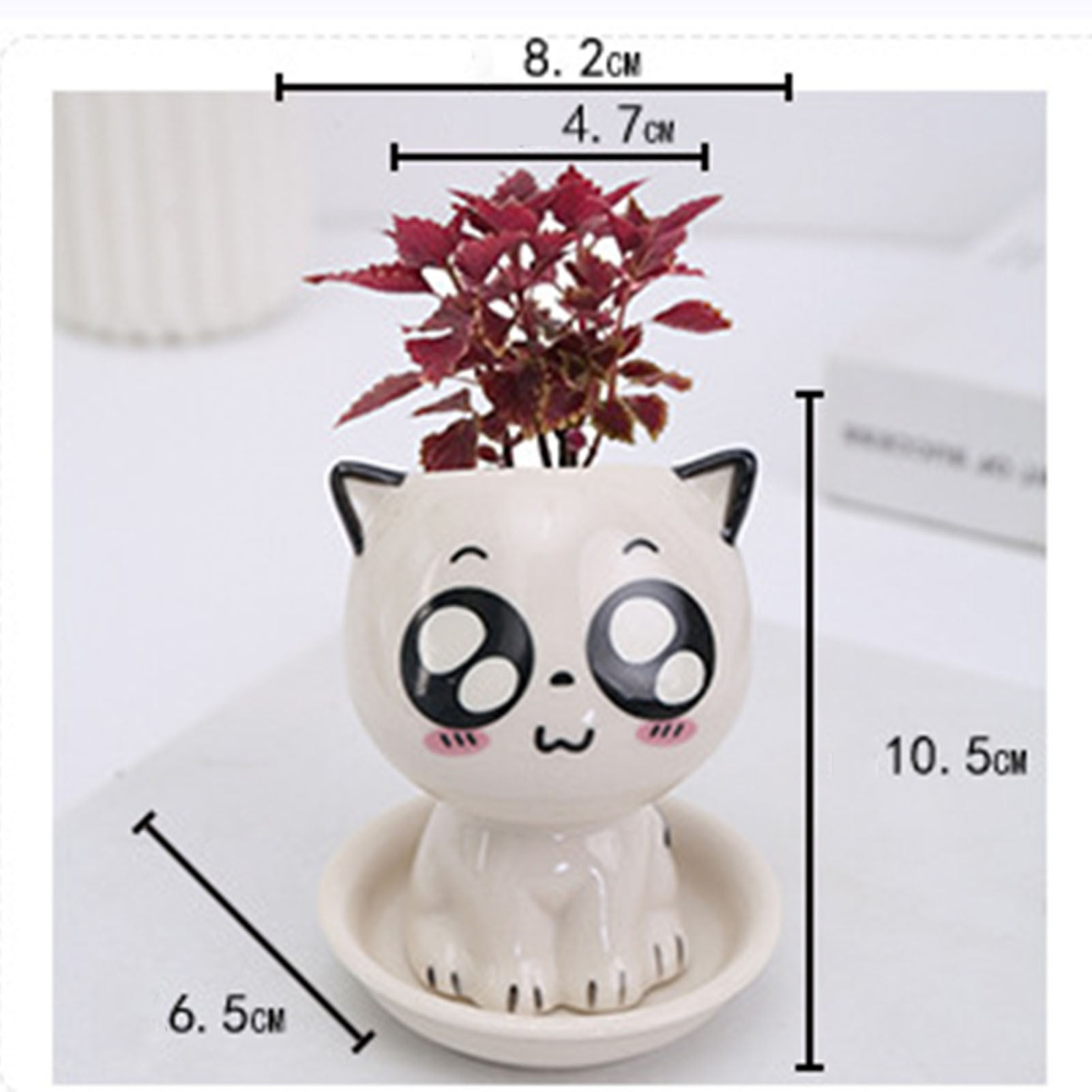Cat Shaped Ceramic Flowerpot C - مراجعة Plant Pot Small Desk وسعره