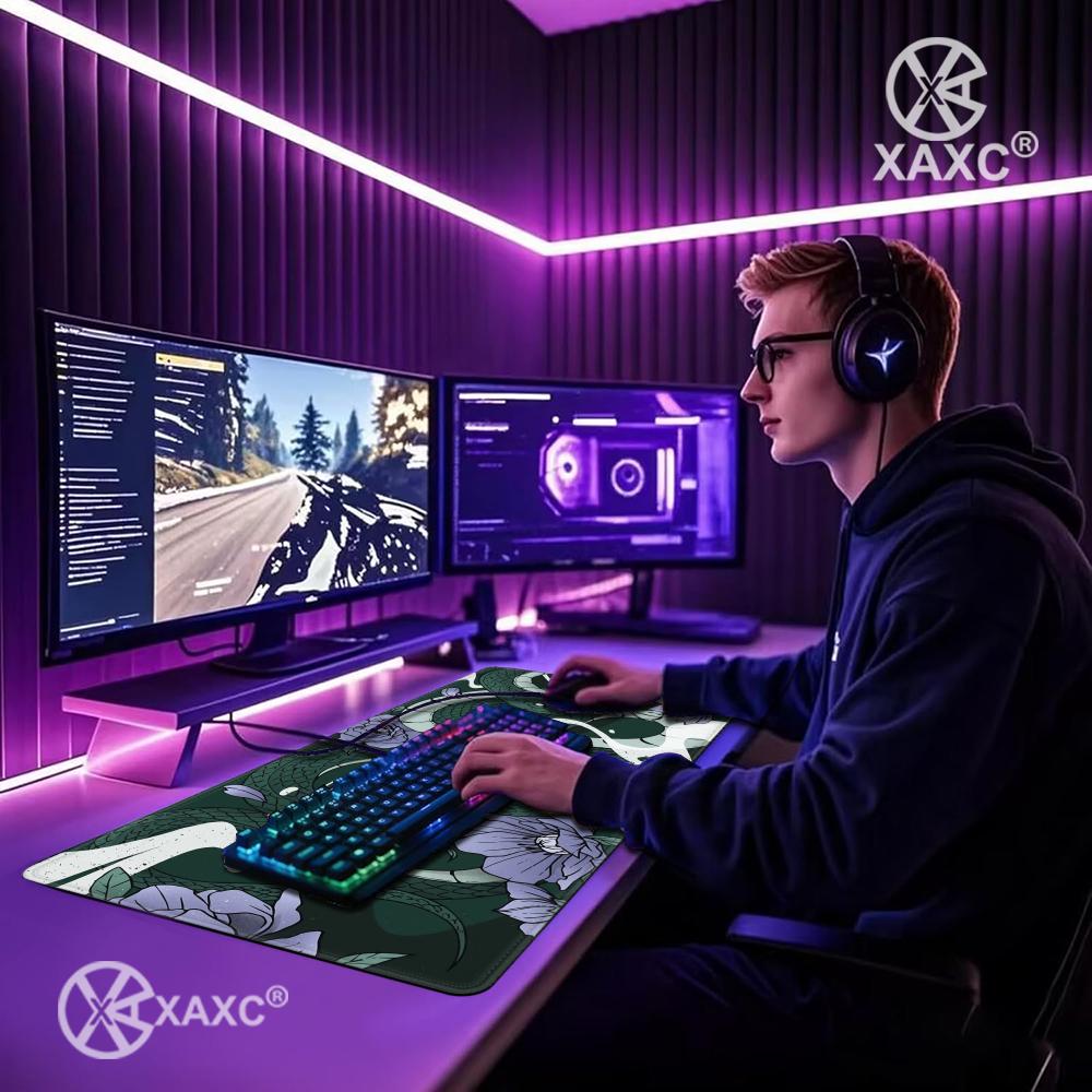 Viper Snake Setup XAXC Mouse P - مراجعة Desk Setup With Laptop وسعره